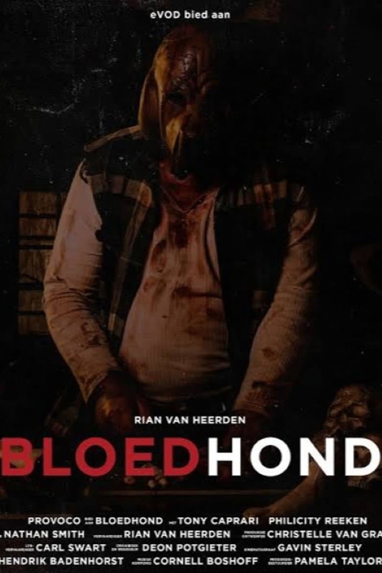Bloedhond