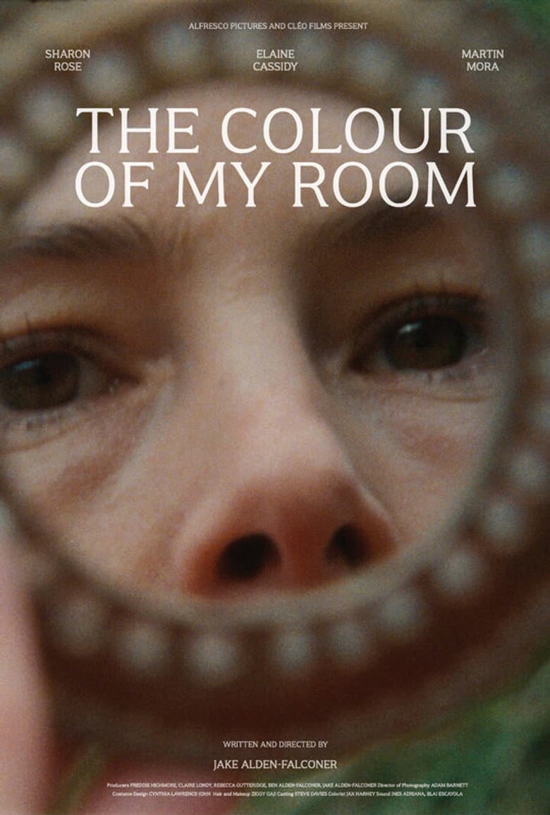 The Colour of My Room