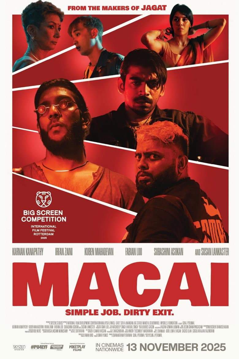 Macai