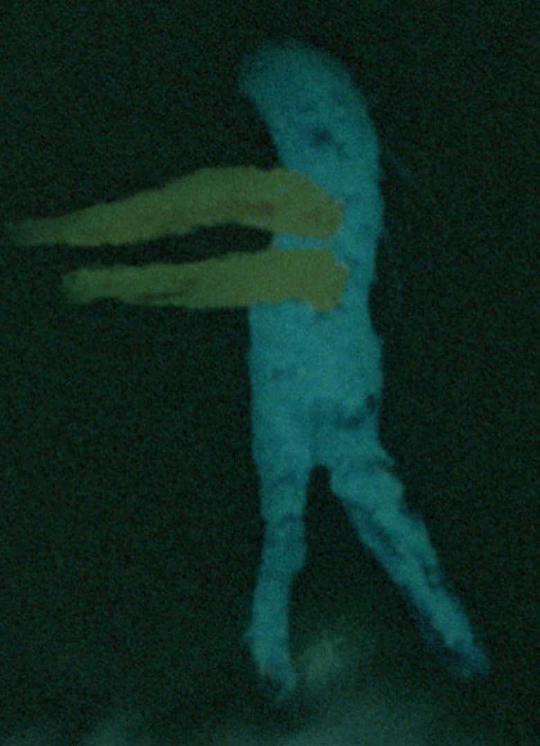 Final Obscura