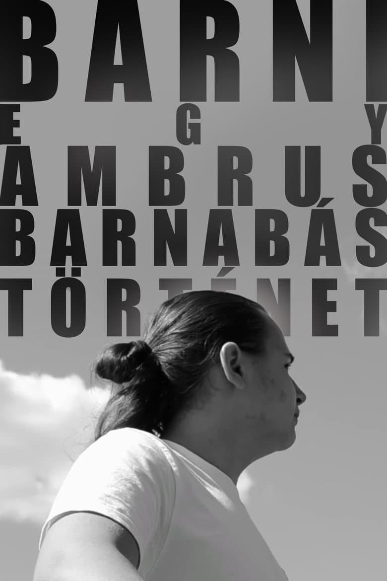BARNI: A Barnabás Ambrus Story