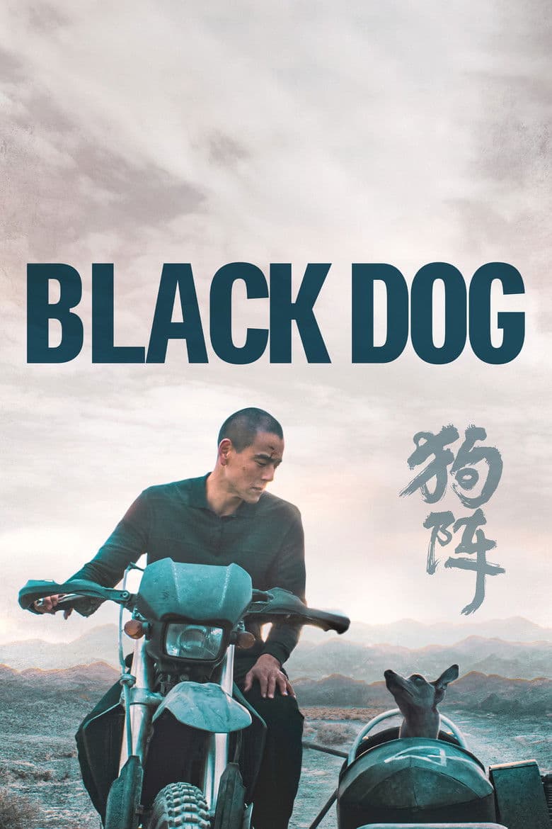Black Dog