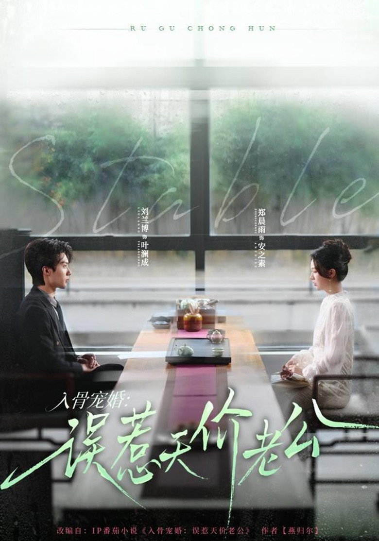 入骨宠婚:误惹天价老公