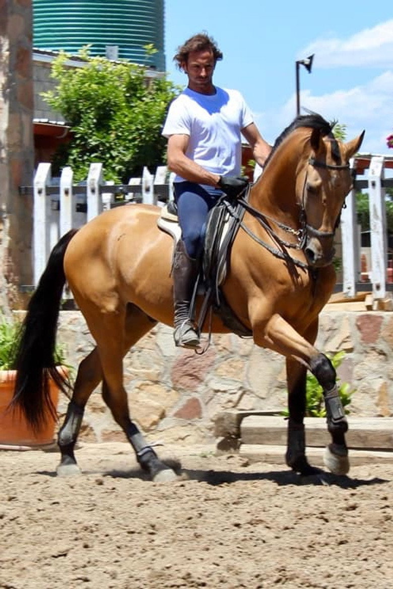 Luis Miguel Arranz