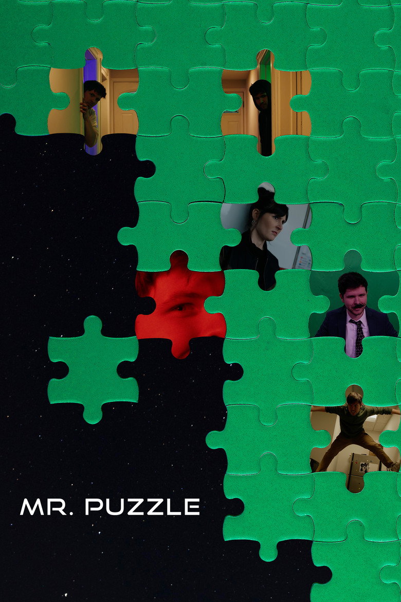 Mr. Puzzle