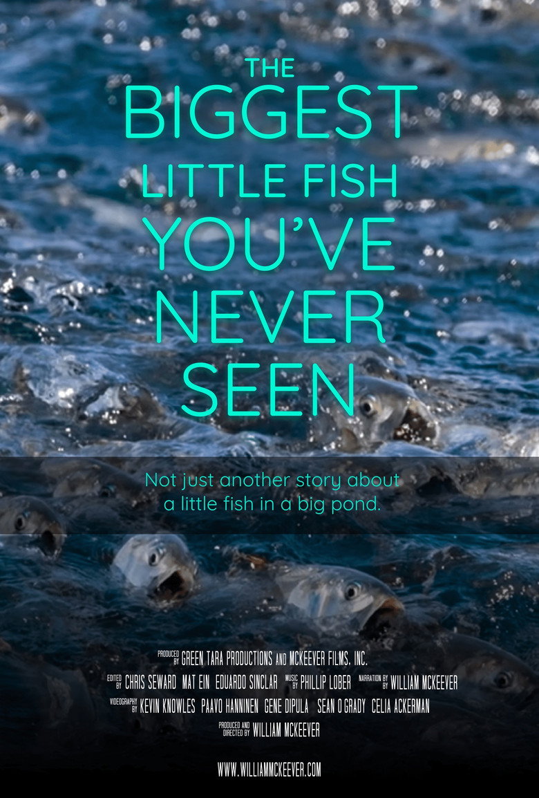 The Biggest Little Fish You've Never Seen