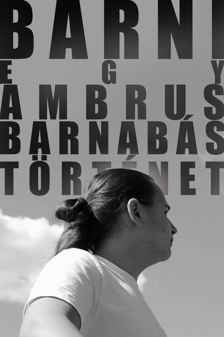 BARNI: A Barnabás Ambrus Story