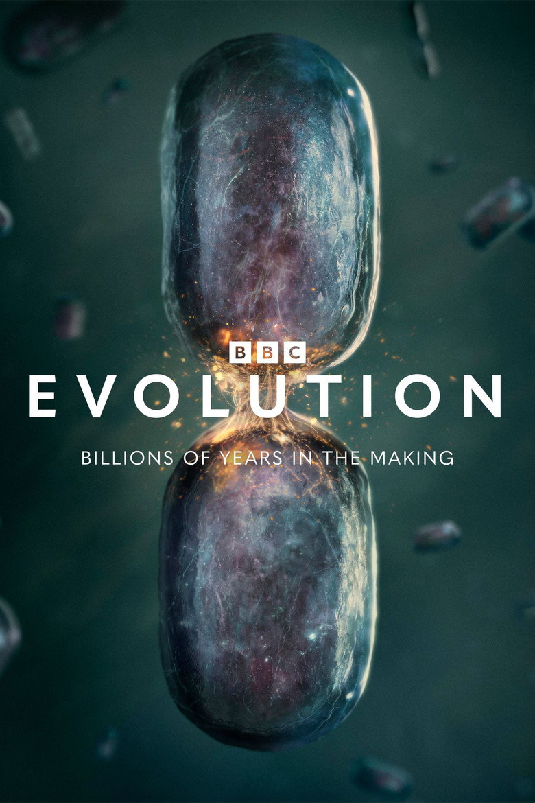 Evolution