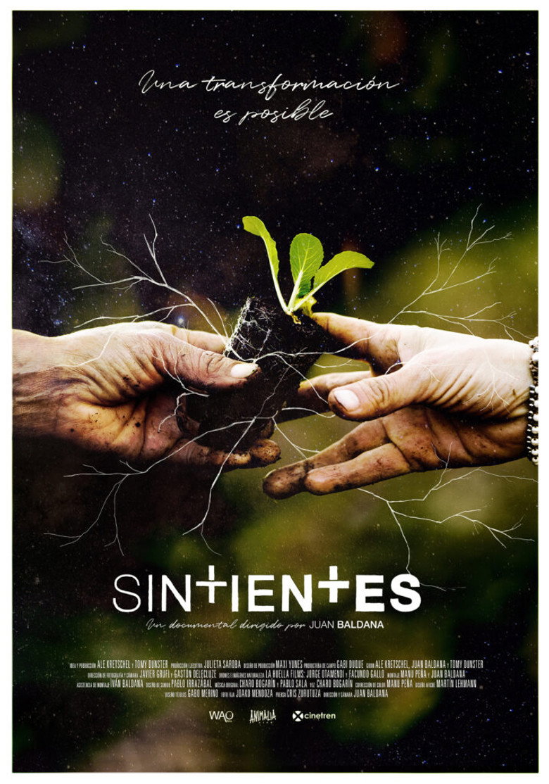 Sintientes