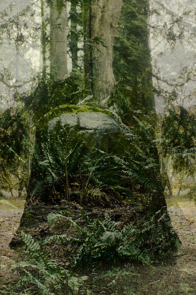 Vertical Remains