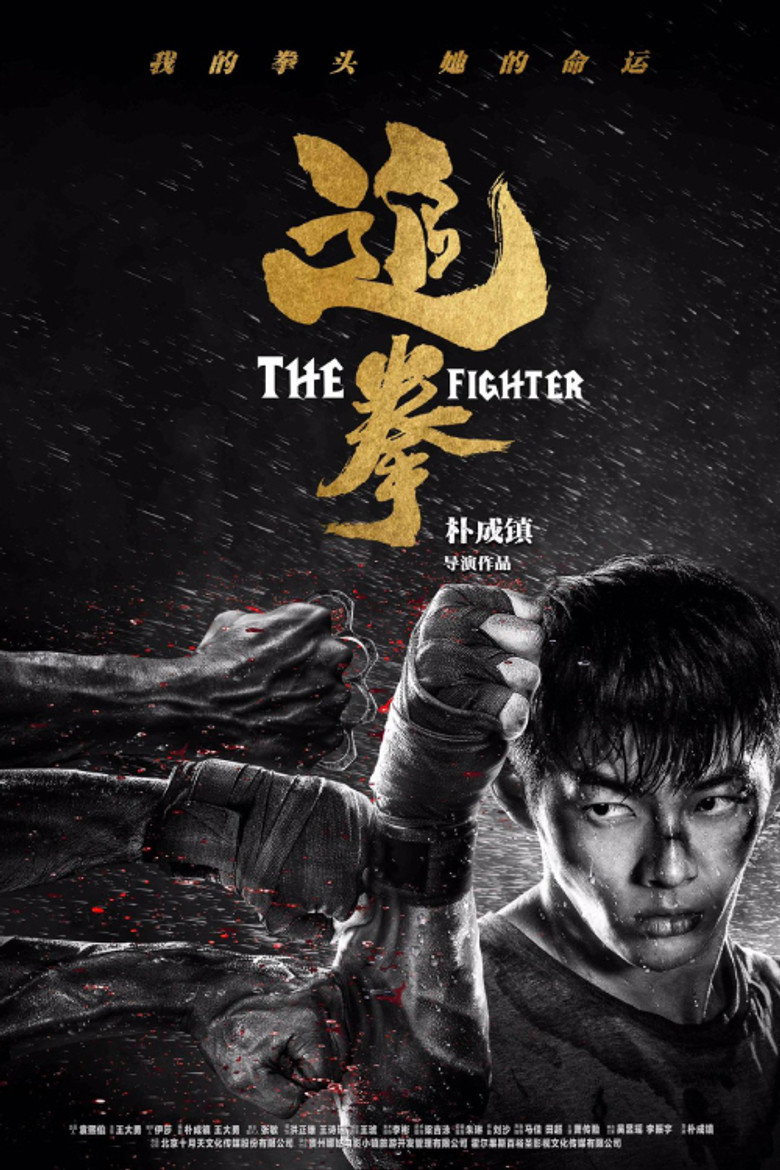 The Fighter